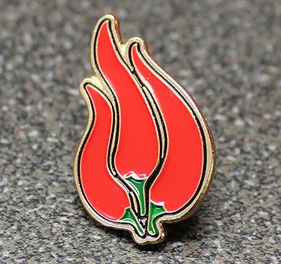 Red chilli flame-shaped enamel pin badge with gold edges