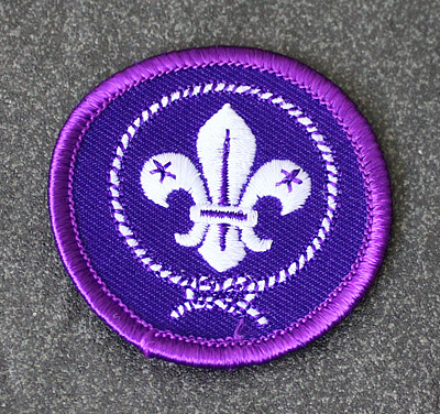 Embroidered badge sample 7