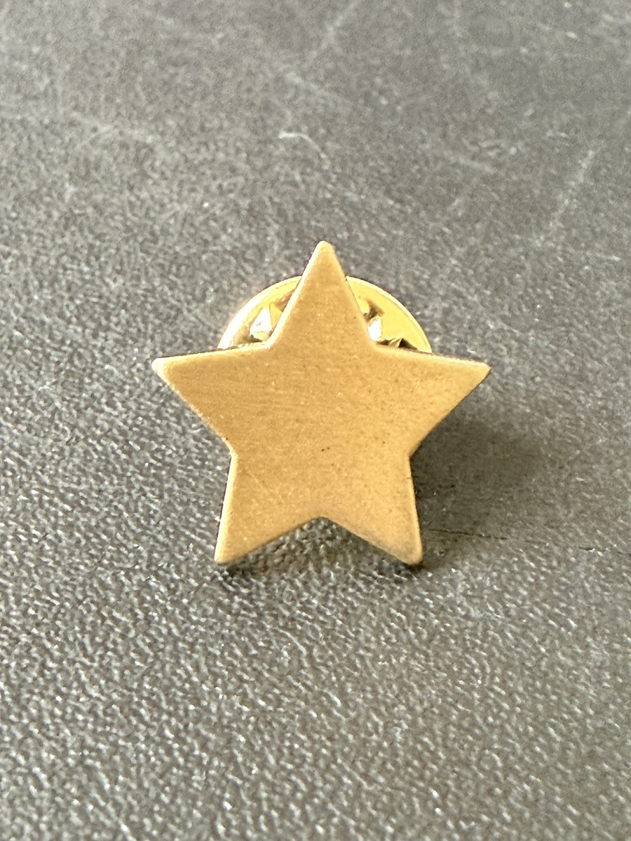 School star pin sample 1