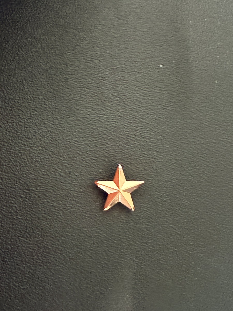 School star pin sample 2